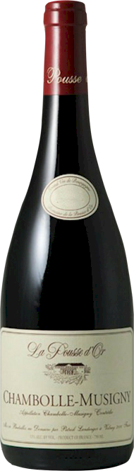 Pousse dOr Chambolle Musigny 2016 - Buy